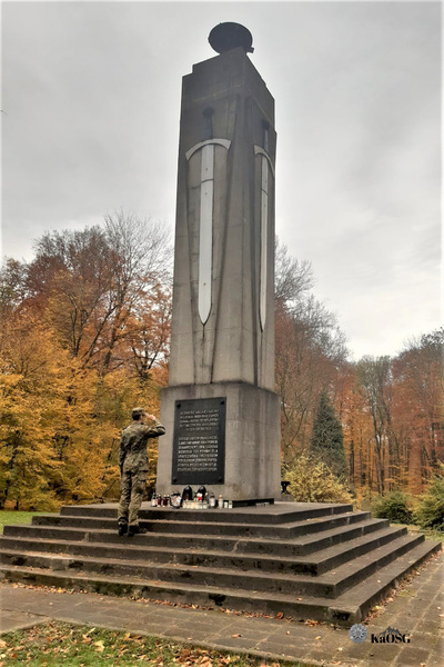 Pomnik, a u jego podnóża zapalony znicz z biało - czerwoną tasiemką i logiem Karpackiego Oddziału Straży Granicznej