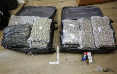 Zdjęcie dowodowe z góry, przedstawiające dużą, sprasowaną paczkę z nielegalnym towarem, owiniętą szarą folią, leżącą na czarnym blacie obok linijki pomiarowej (z numerem &quot;1&quot;).