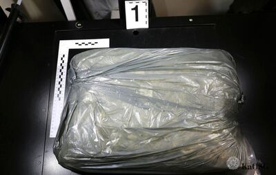 Funkcjonariusz Straży Granicznej w kurtce z napisem &quot;STRAŻ GRANICZNA&quot; stoi tyłem przy otwartym bagażniku samochodu dostawczego, który jest wypełniony zatrzymanymi, czarnymi paczkami.