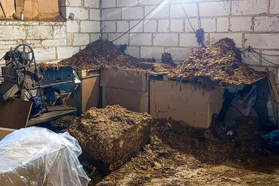 wnętrze nielegalnej fabryki na pudłach leżą liście tytoniu i krajanka tytoniowa.