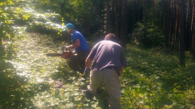 Prace przy cmentarzu wojennym nr 61 w Gładyszowie 