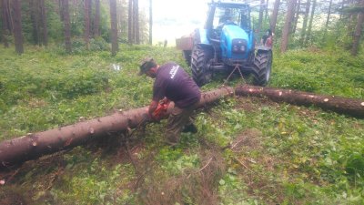 Prace przy cmentarzu wojennym nr 61 w Gładyszowie 