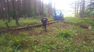 Prace przy cmentarzu wojennym nr 61 w Gładyszowie 