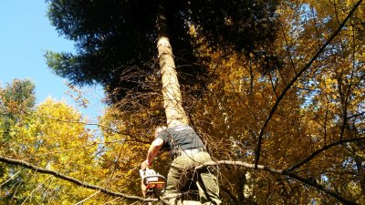 Miejsca pamięci odzyskują swój blask - fot. Klub Górski Orły / Sękowa.info 