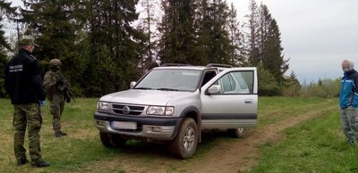 Garncarska pasja cudzoziemca zakończona kwarantanną