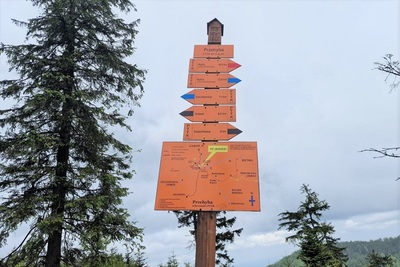 słup który wskazuje kierunki szlaków turystycznych. Tabliczki są w kolorze pomarańczowym na których znajdują się nazwy miejscowości oraz kolory szlaków turystycznych.