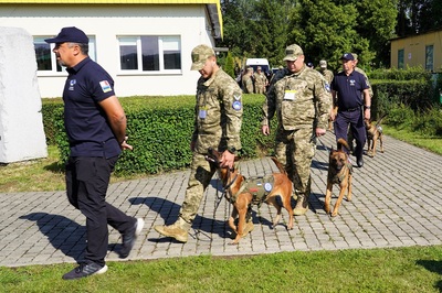 żołnierze ukraińscy wraz ze swoimi psami służbowymi idą na miejsce uroczystości. między nimi idą zagraniczni trenerzy szkolenia psów.