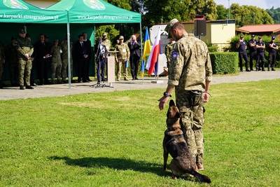 żołnierz ukraiński wykonujący pokaz ze swoim psem służbowym podczas uroczystości.