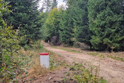 droga którą będą szli funkcjonariusze straży granicznej. droga prowadzi granicą państwa. widoczne są białoczerwone słupki graniczne wyznaczające granicę Polski ze Słowacją.