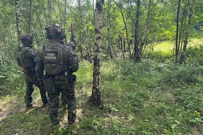 Funkcjonariusze straży granicznej ubrani w kamizelki kuloodporne i hełmy stojący w lesie