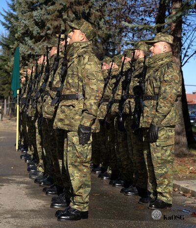 Zbliżenie na szereg żołnierzy lub funkcjonariuszy w mundurach maskujących typu moro i czapkach, stojących w szyku na baczność. Trzymają karabiny przewieszone na pasach. W tle widoczne wysokie iglaste drzewa i maszt z zieloną flagą po lewej. Ubrani są w zimowe, ocieplane kurtki i czarne rękawiczki.