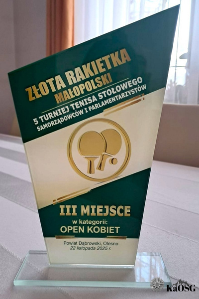 Na zdjęciu widać statuetkę z przezroczystego materiału w trójkątnym kształcie z zielonymi napisami